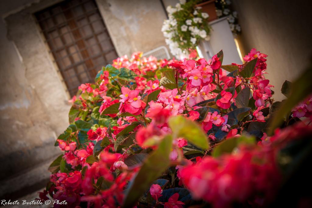 Torre Della Botonta Bed & Breakfast Castel Ritaldi Ngoại thất bức ảnh
